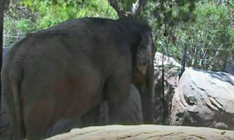 El Paso Zoo