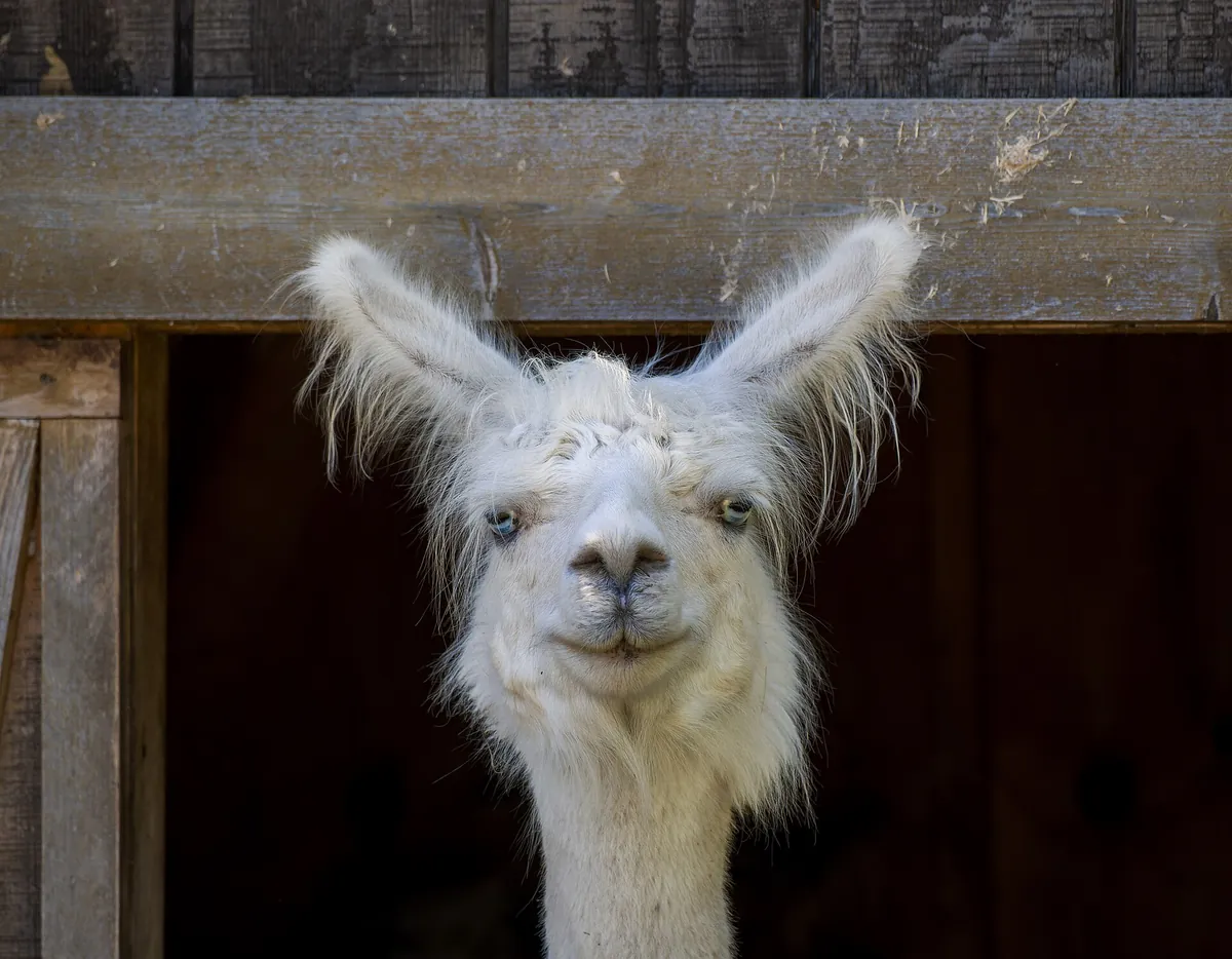Menominee Park Zoo