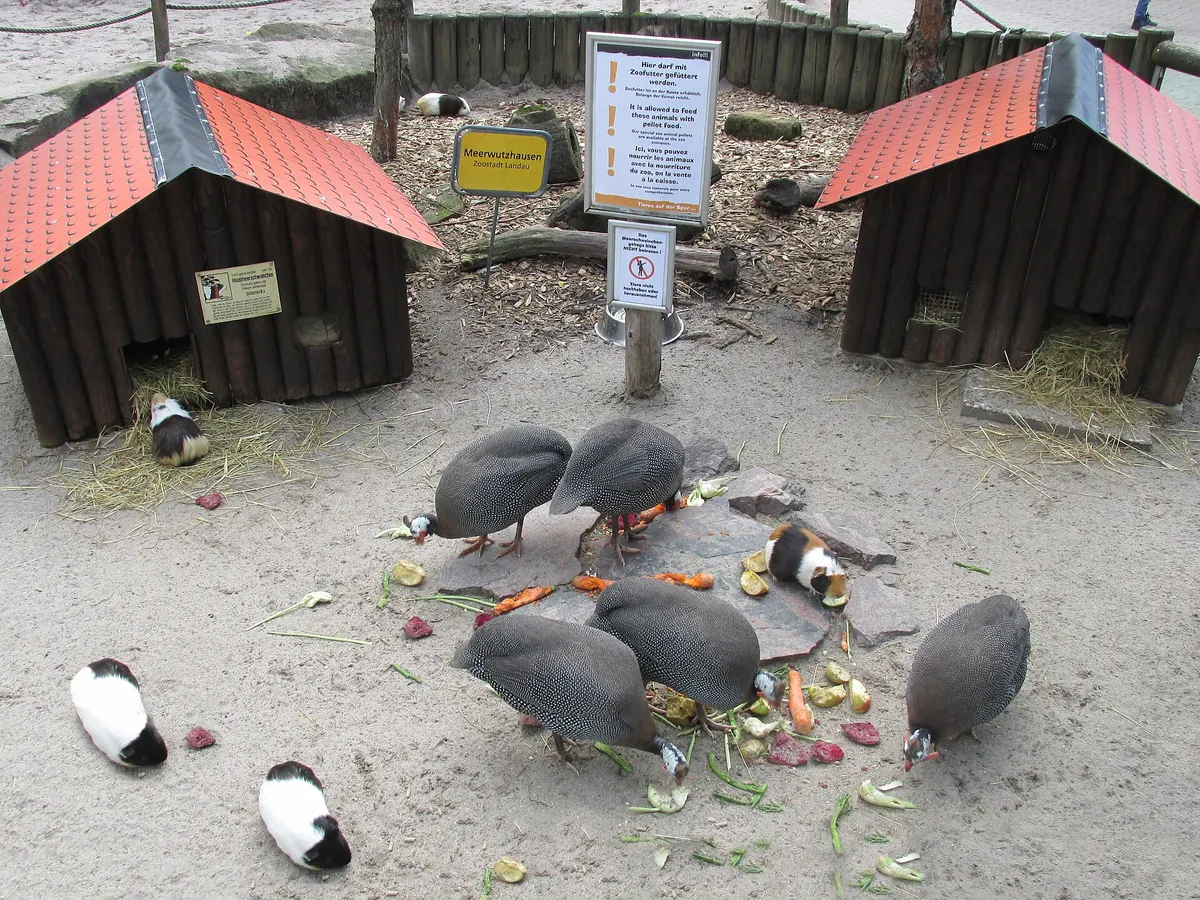 Zoo Landau in der Pfalz