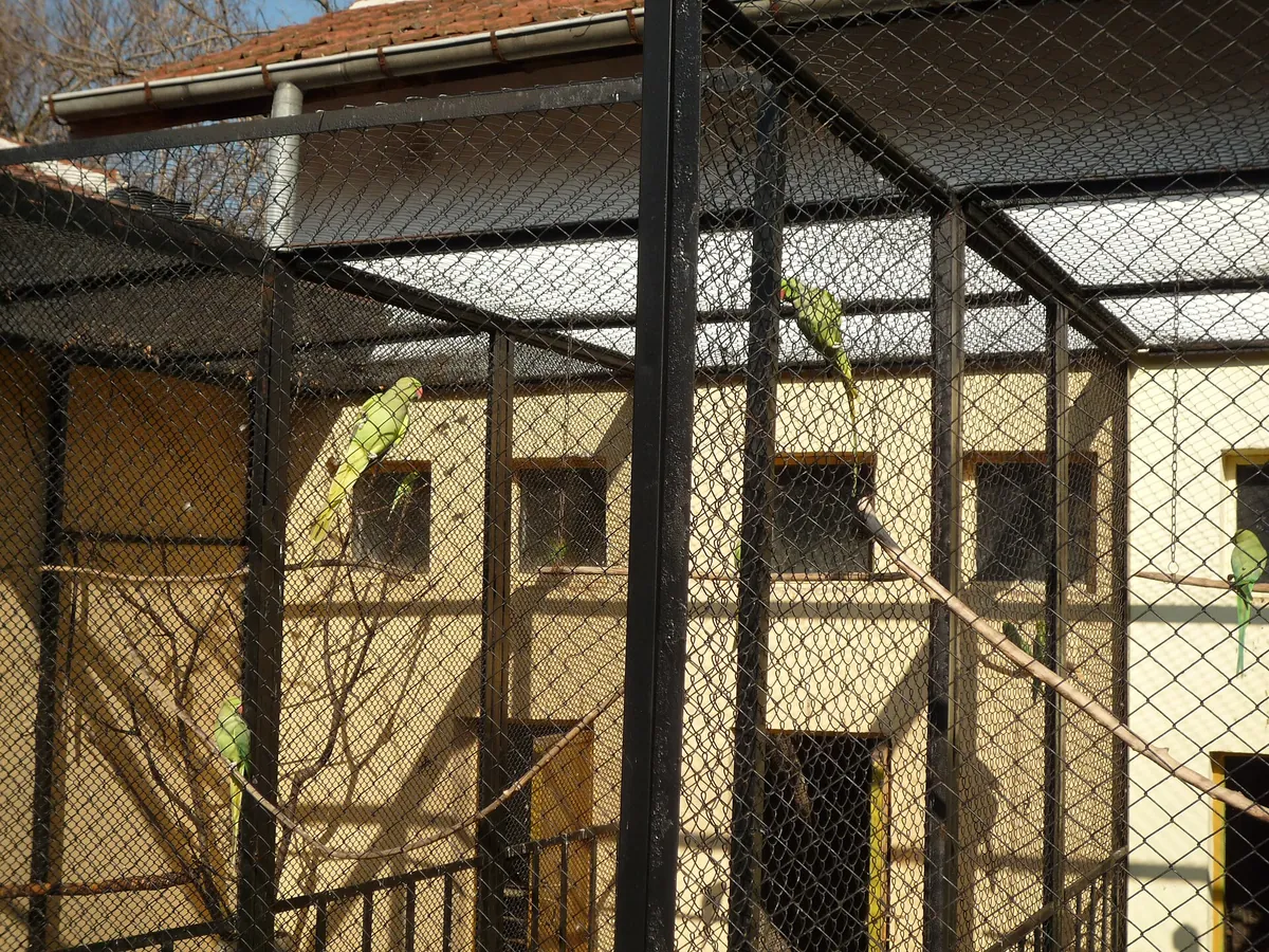 Lovech Zoo