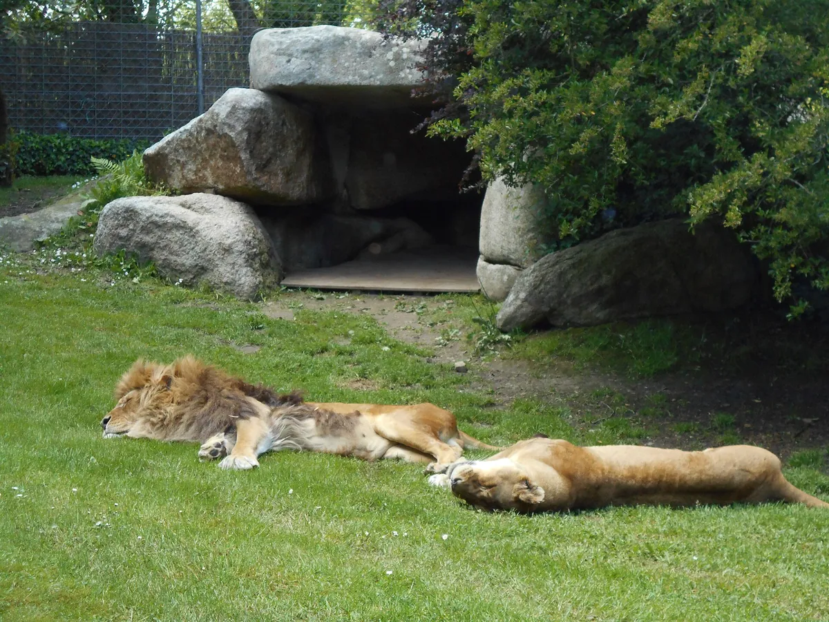 Parc zoologique de Champrepus