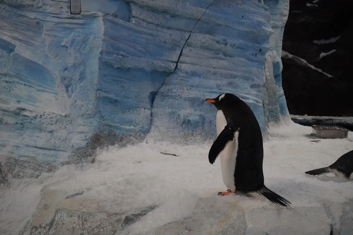 SeaWorld Abu Dhabi