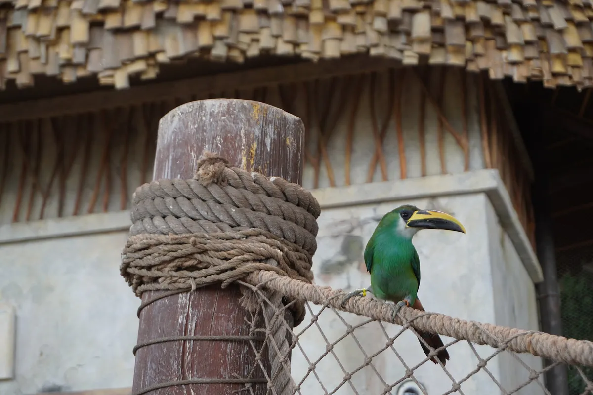 SeaWorld Abu Dhabi
