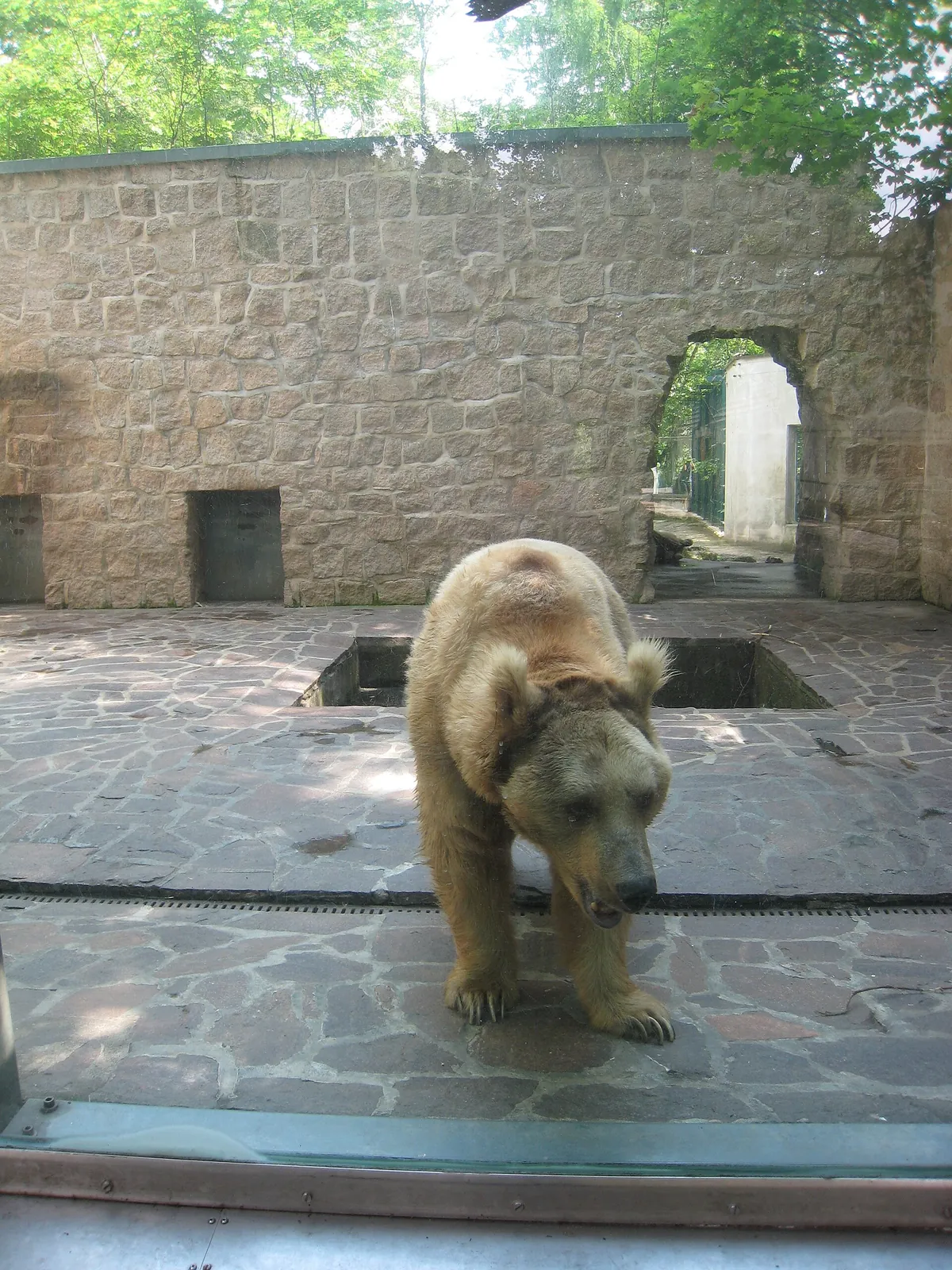 Tierpark Gotha