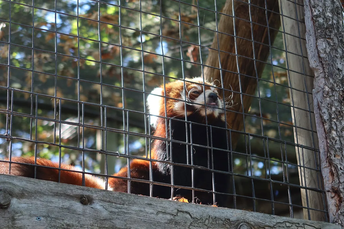 Zoo Boise