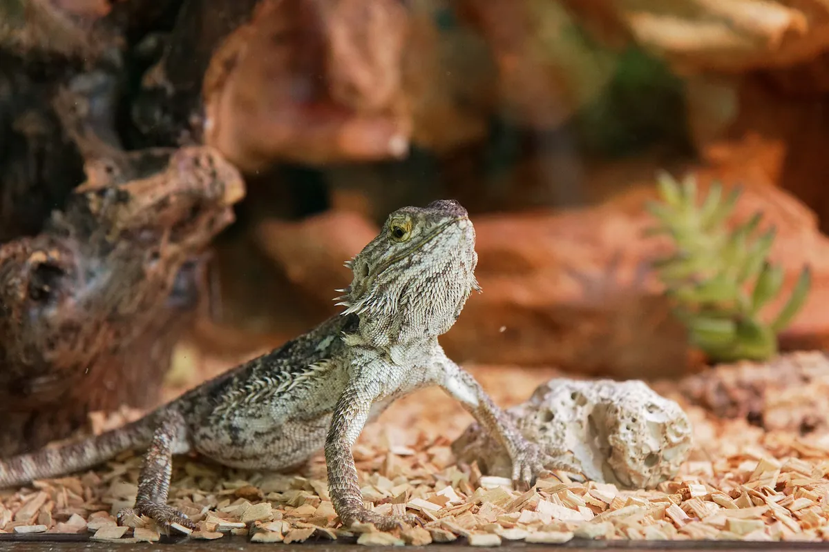 Aquarium du Périgord noir