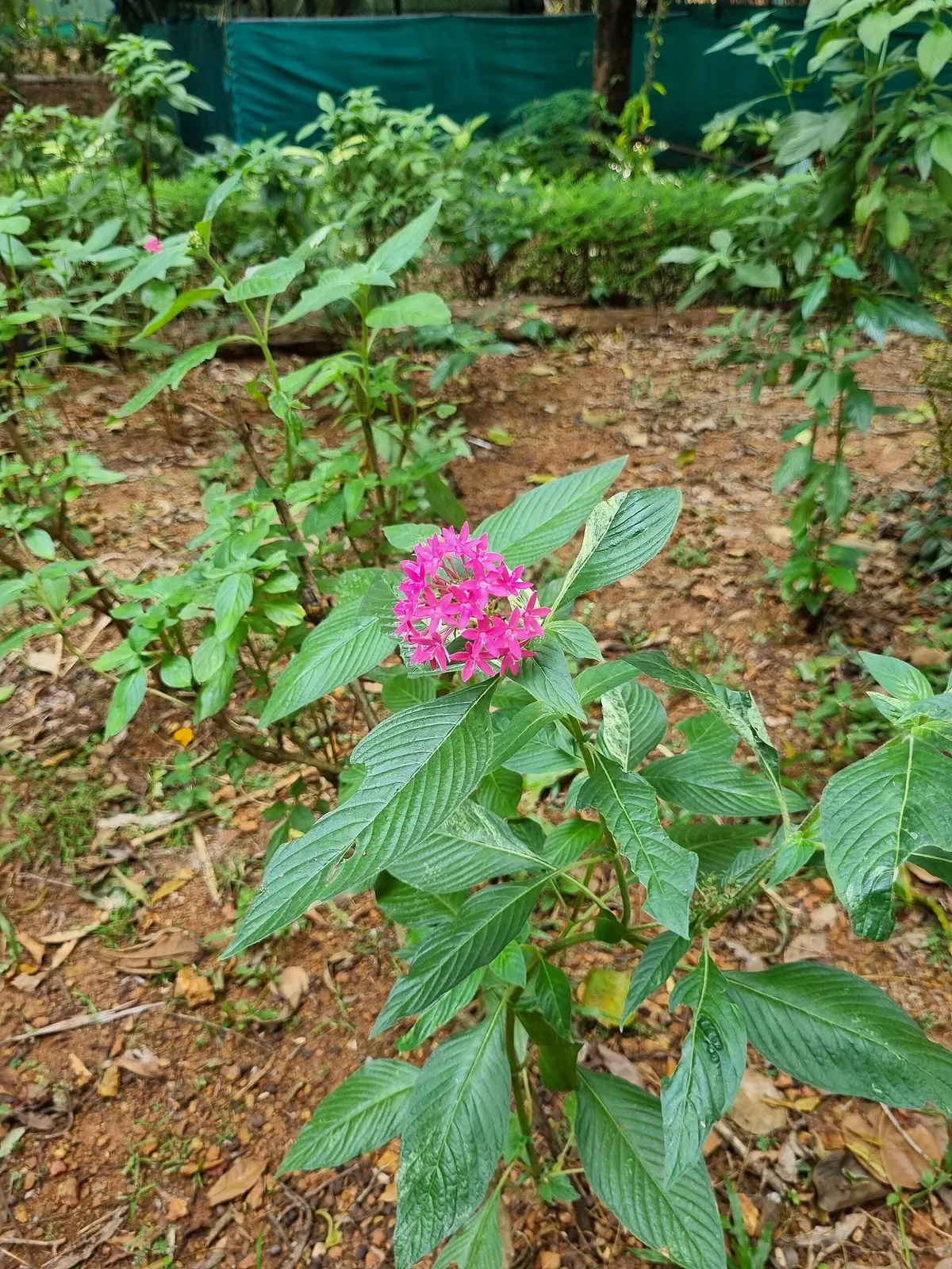 Thrissur Zoo