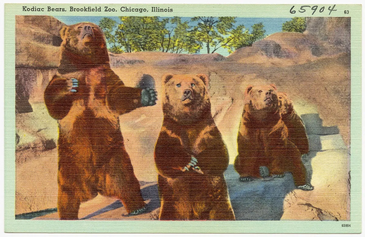 Brookfield Zoo Chicago