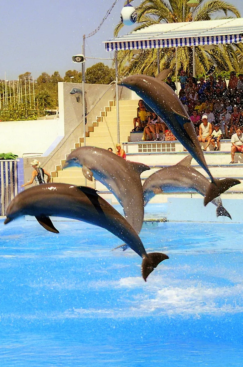 MARINELAND MALLORCA