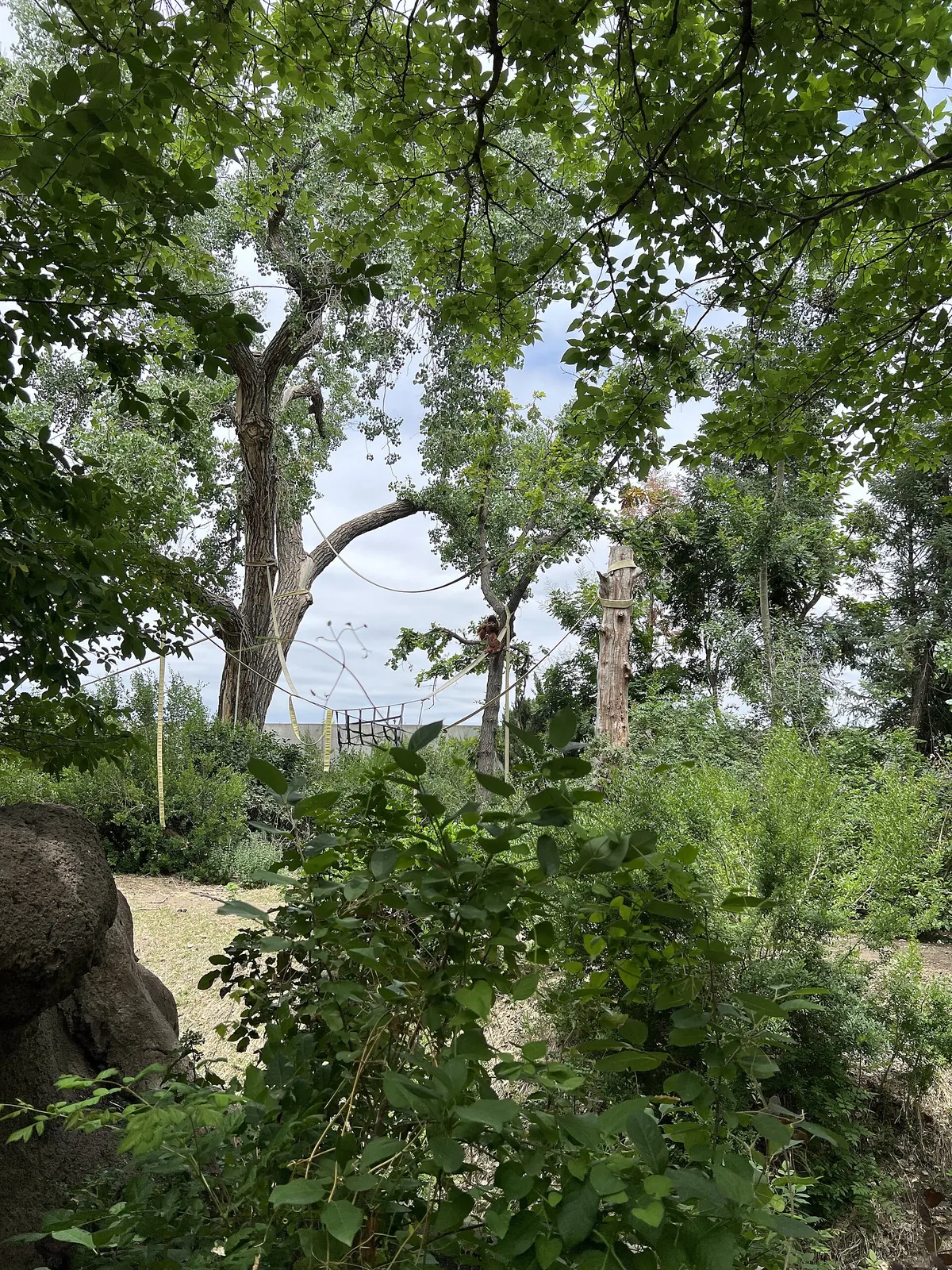 Denver Zoo