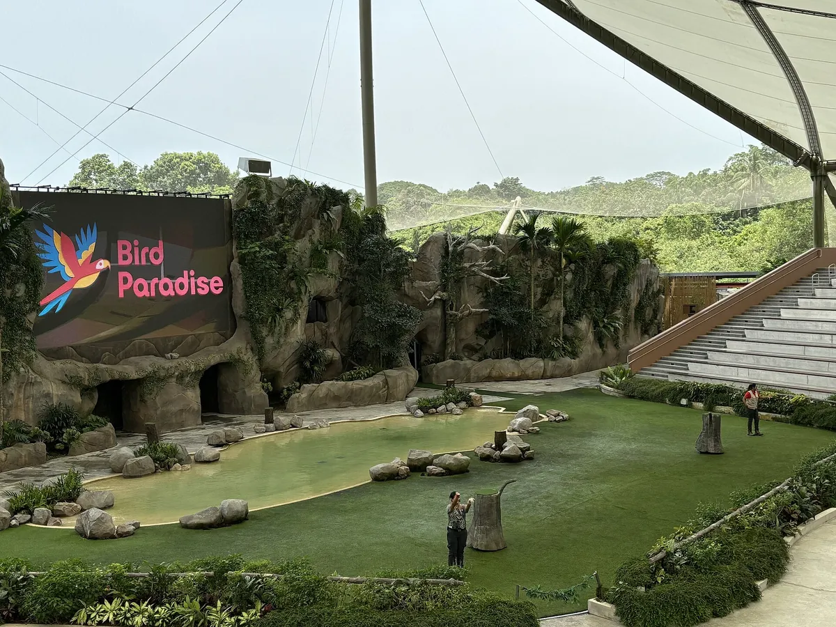 Bird Paradise