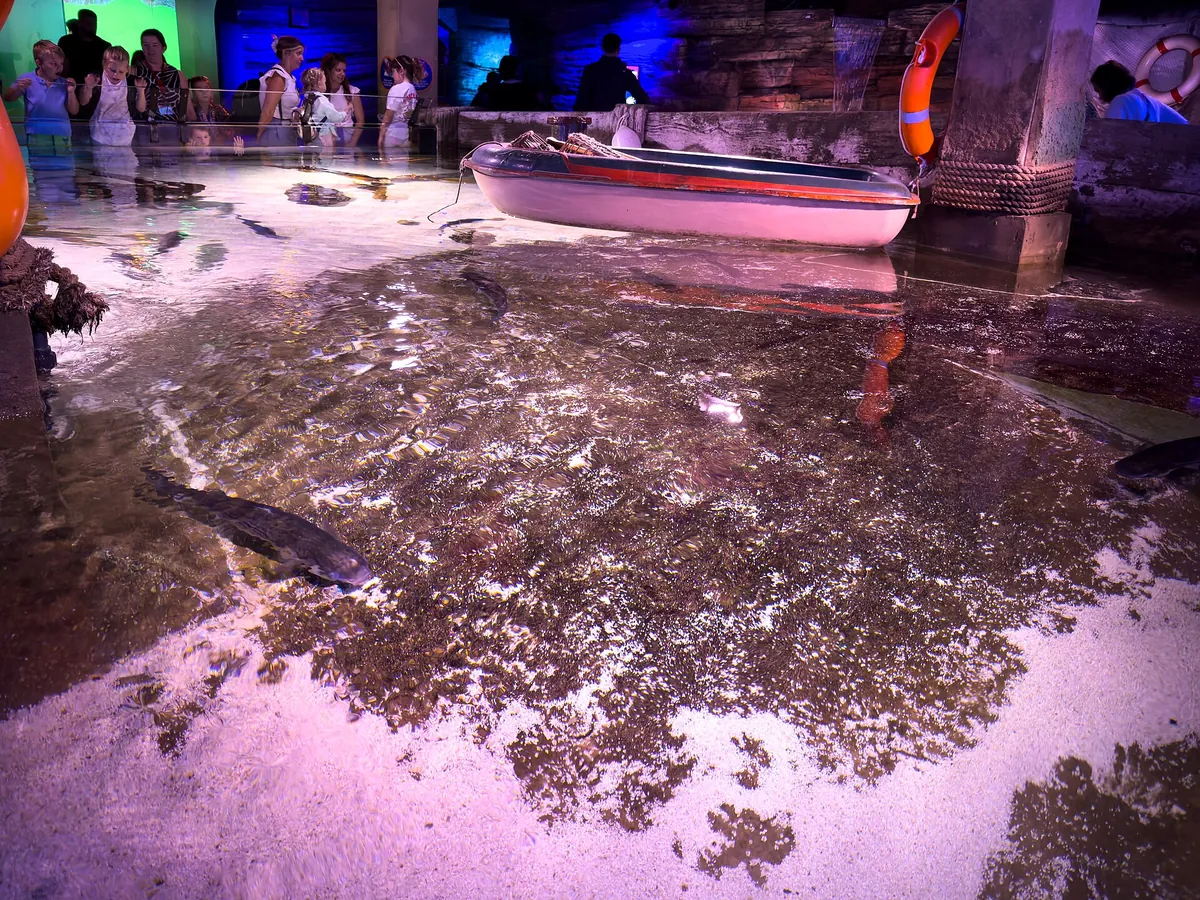Sea Life London Aquarium
