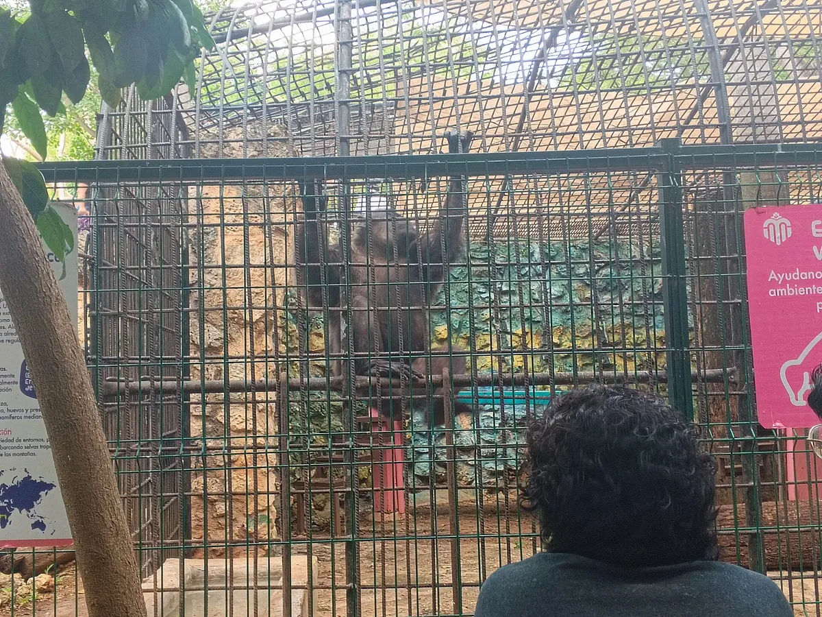 Parque del Centenario