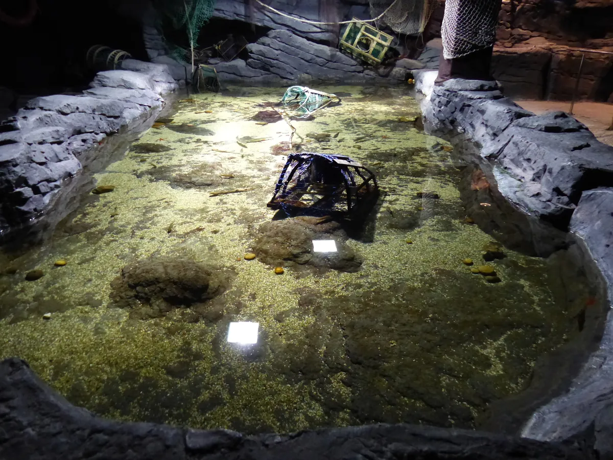 ACUARIO DE SEVILLA