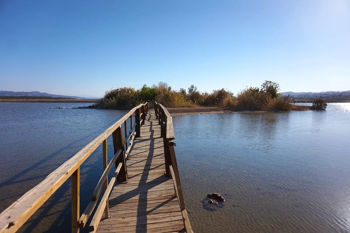 Birding center in Eilat