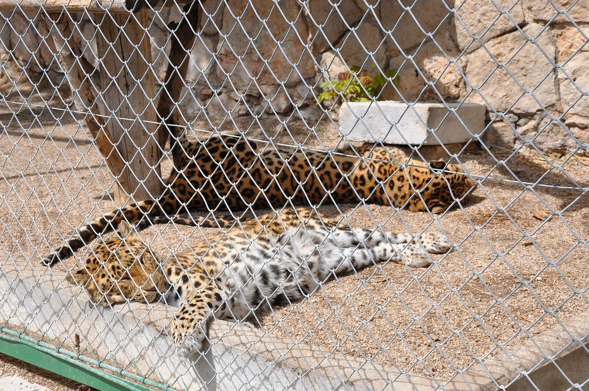 Zoo du Mont Faron