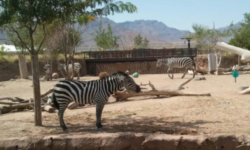 El Paso Zoo