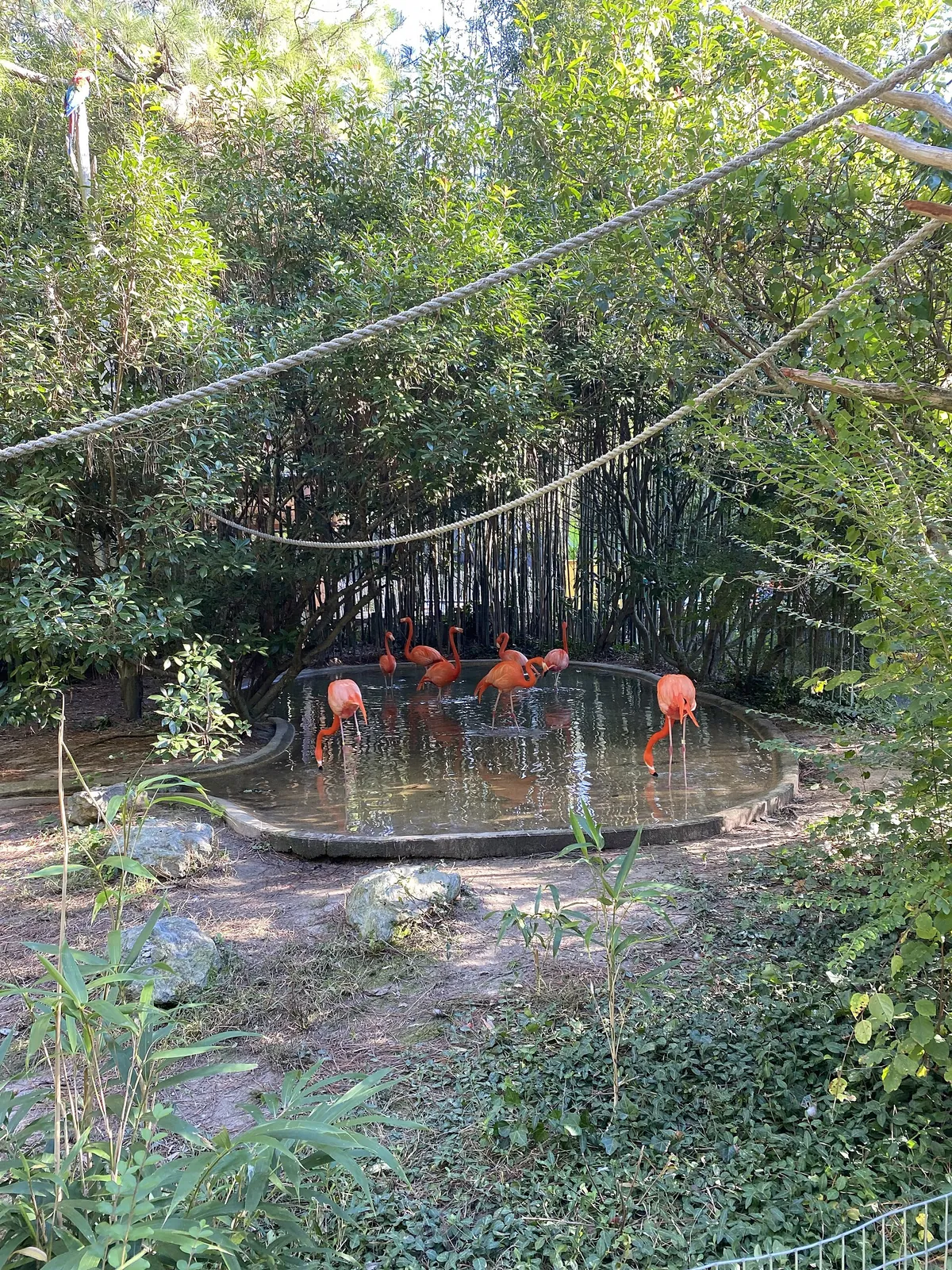 Salisbury Zoo
