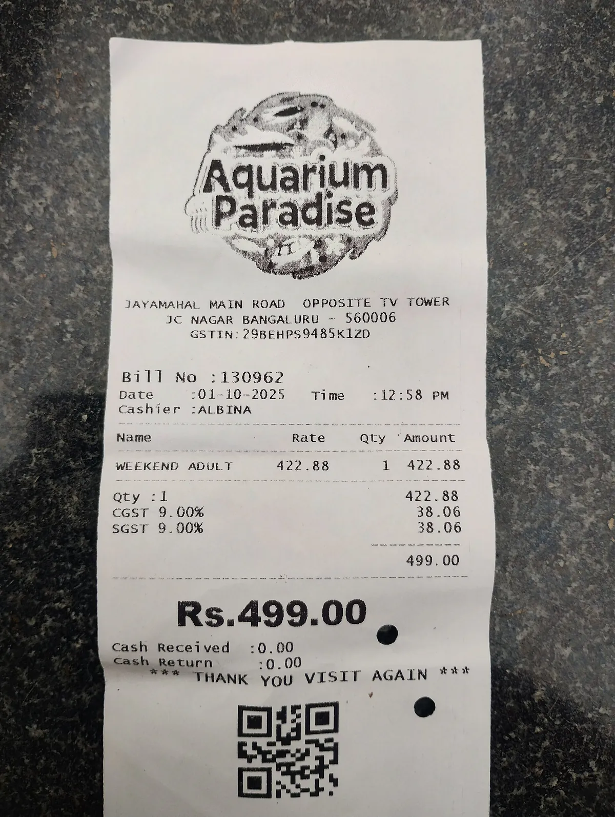 Aquarium Paradise