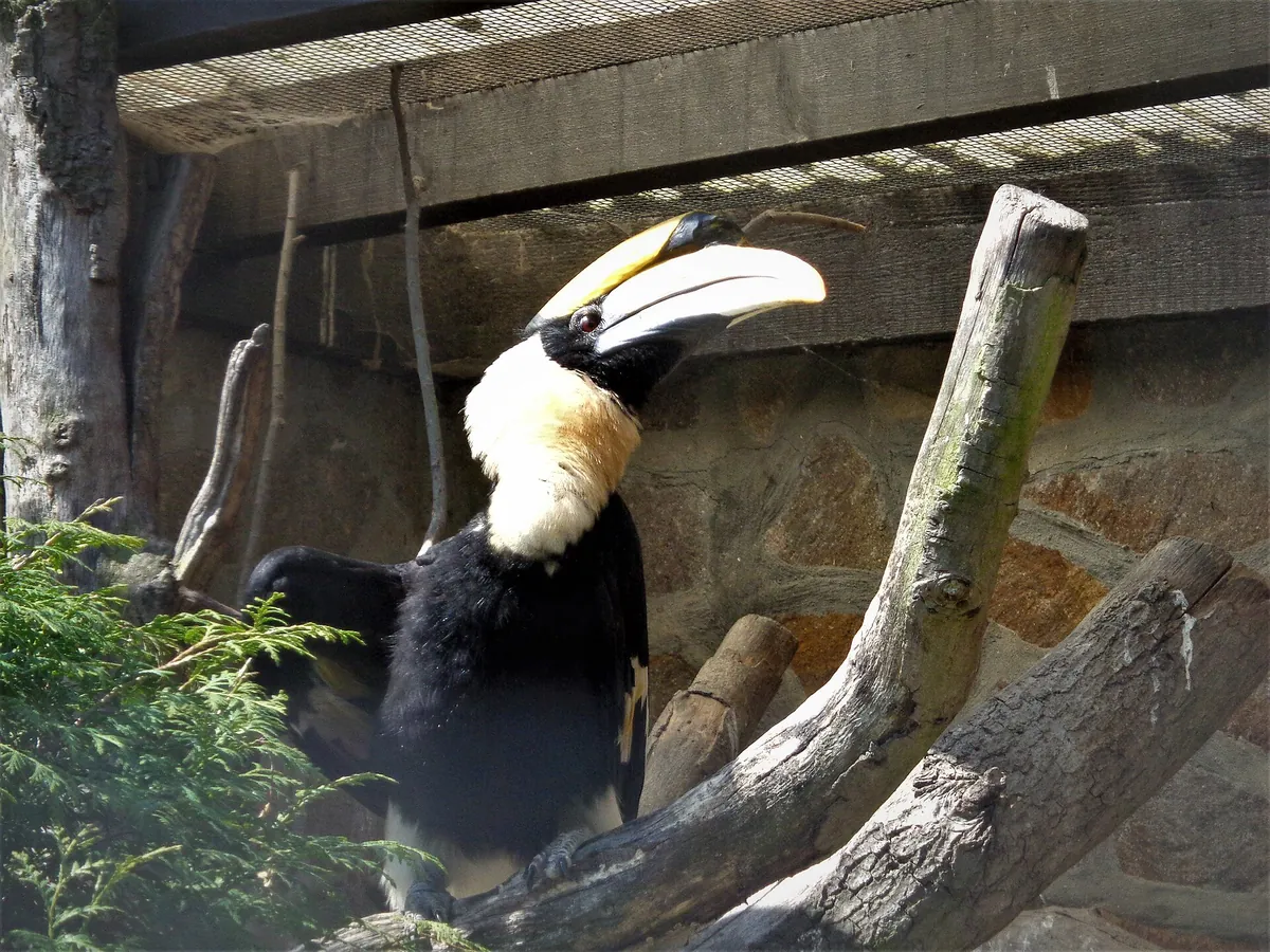 Vogelpark Niendorf
