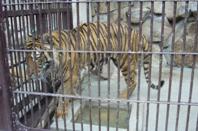 Ikeda Zoo
