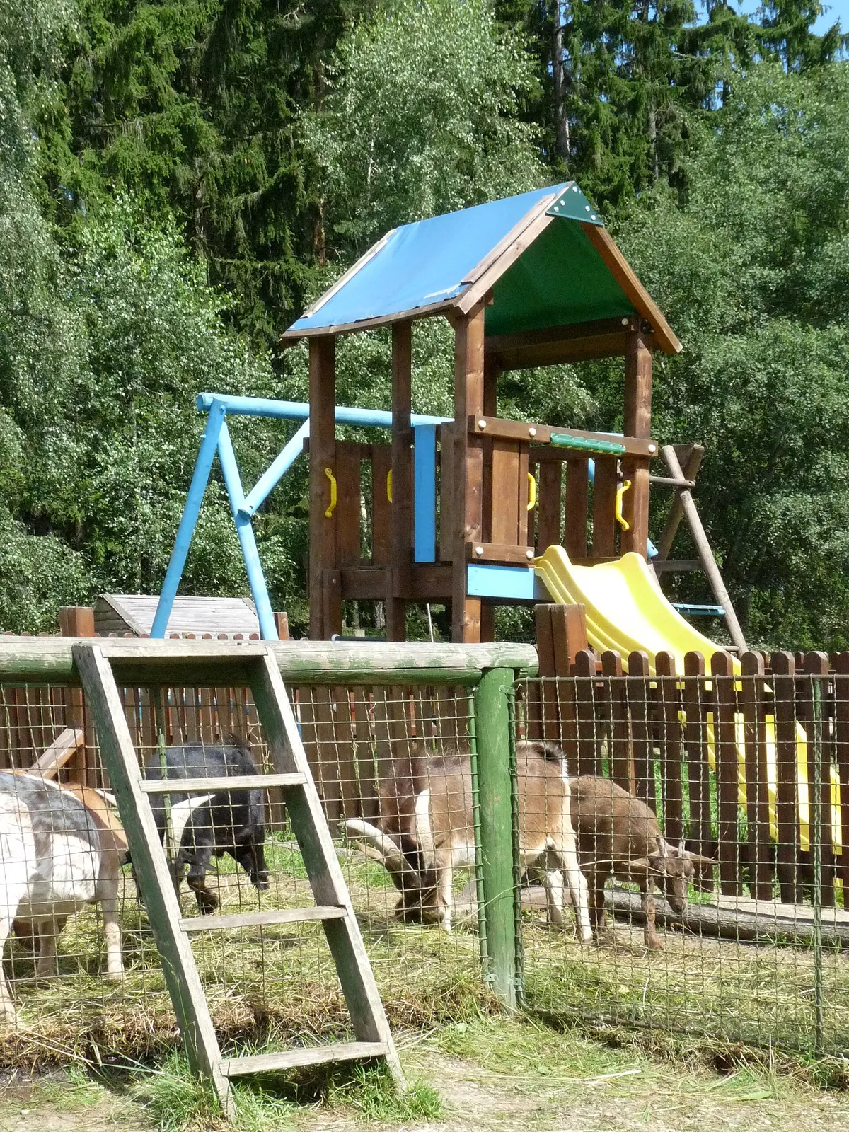 ZOO Dvorec