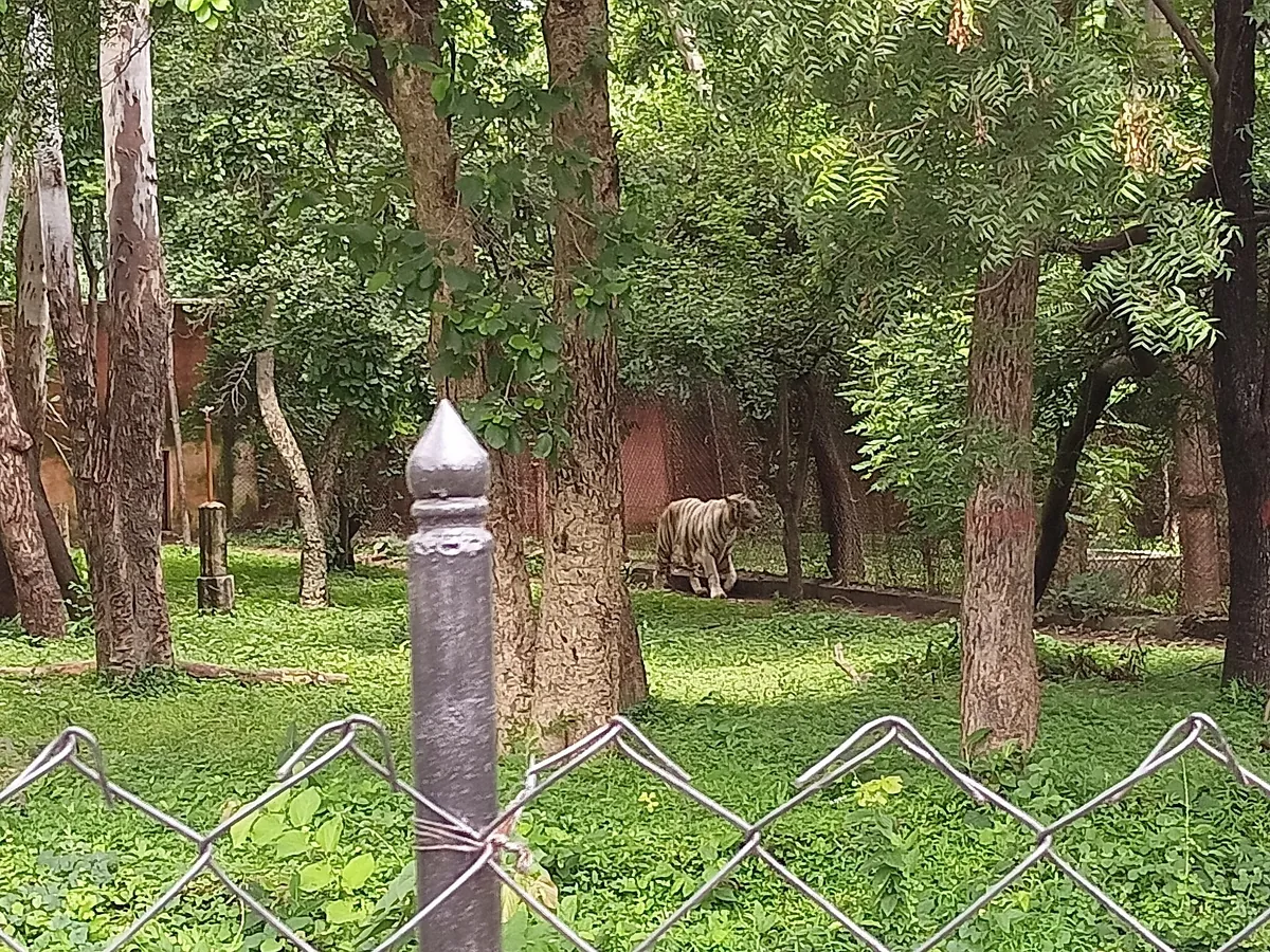 Kanan Pendari Zoo