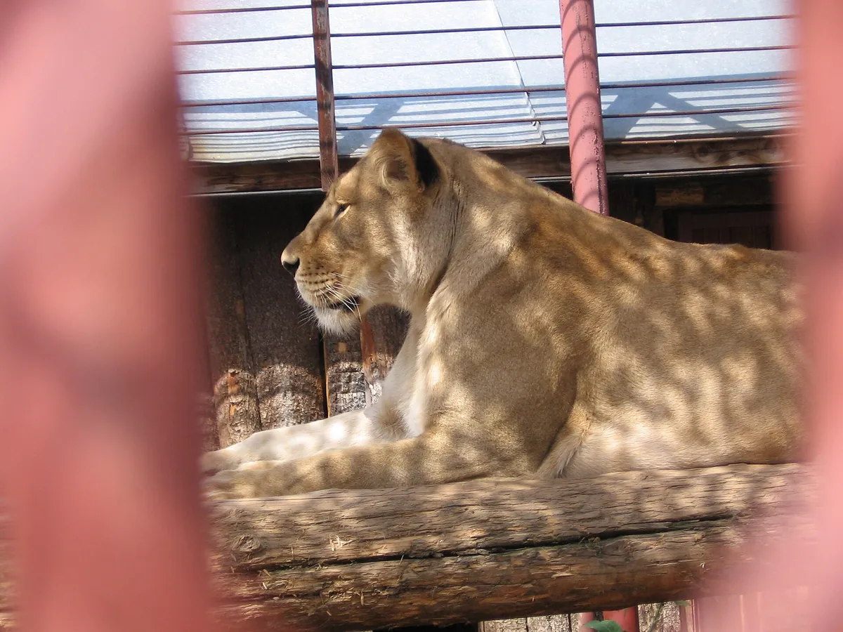 Perm Zoo