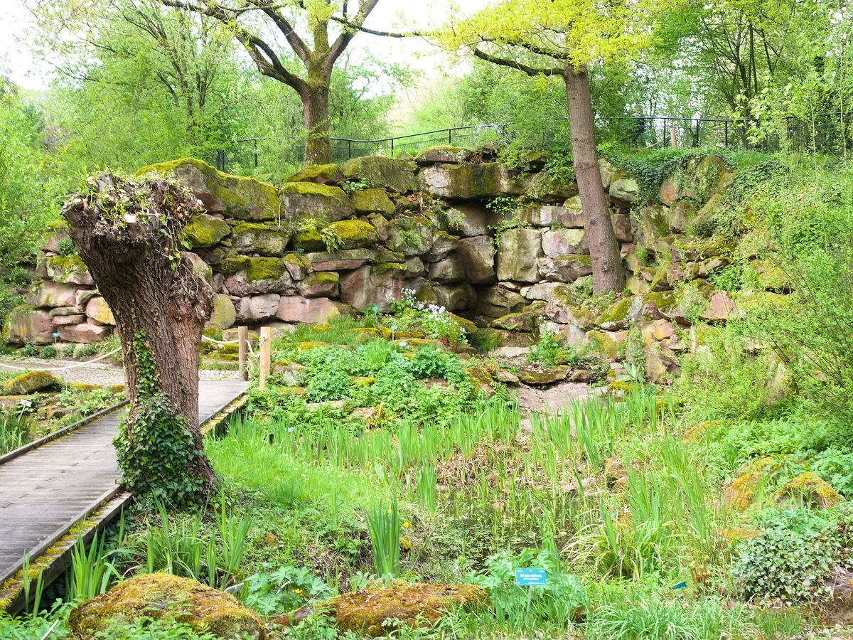 Zoo de Mulhouse