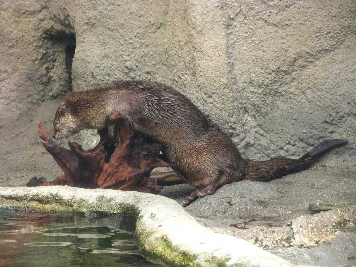 North Carolina Aquarium on Roanoke Island