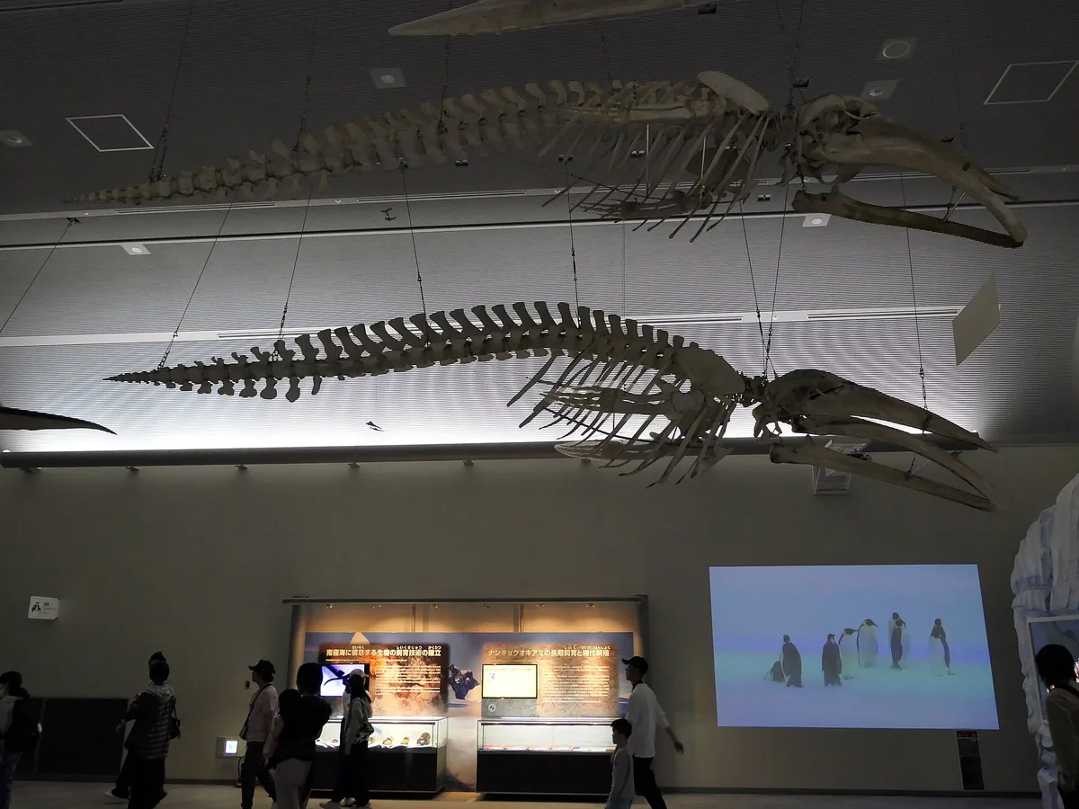 Port of Nagoya Public Aquarium