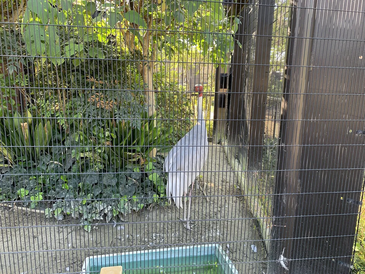 Kyoto City Zoo