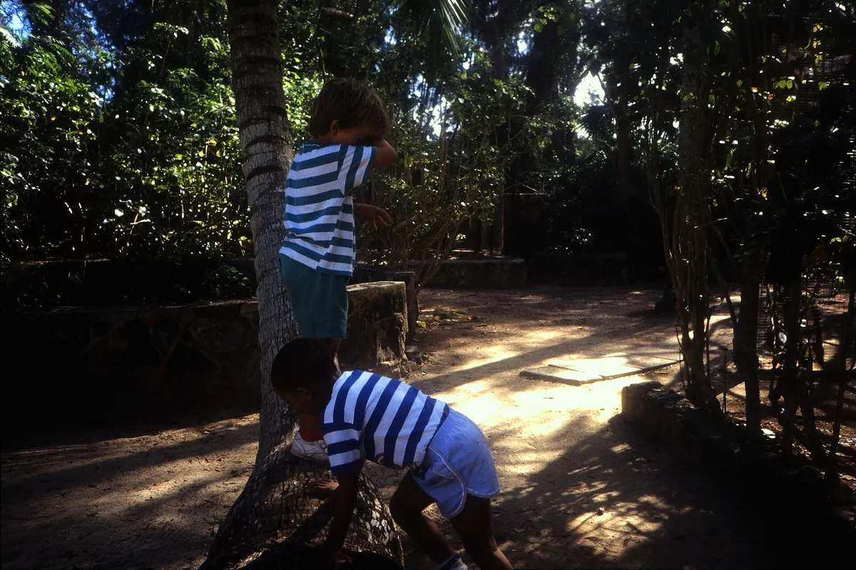 Ardastra Gardens, Zoo and Conservation Centre