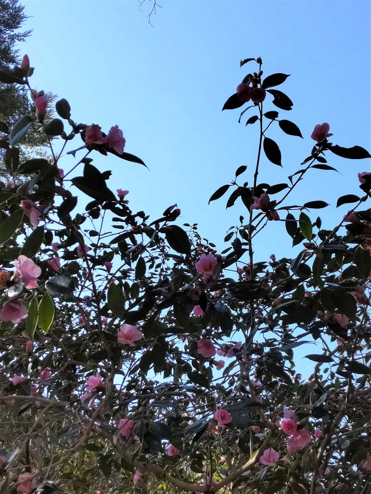 Nagoya Higashiyama Zoo