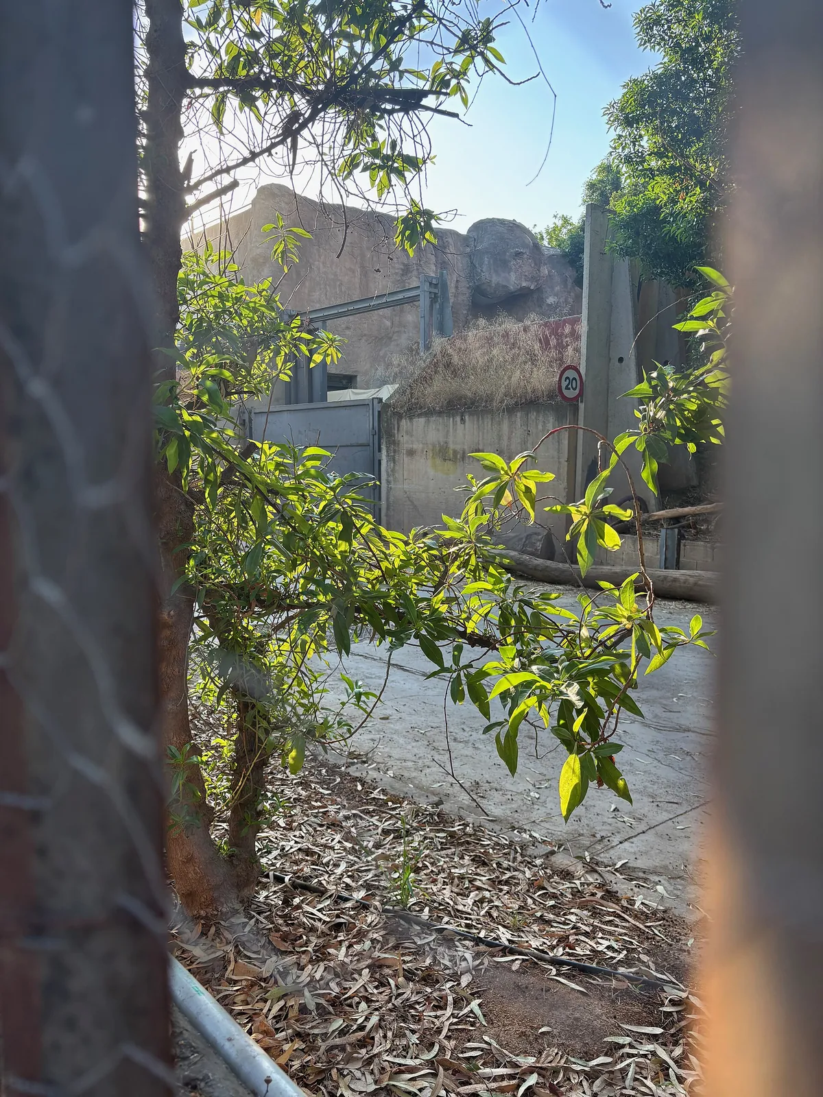 BIOPARC Valencia
