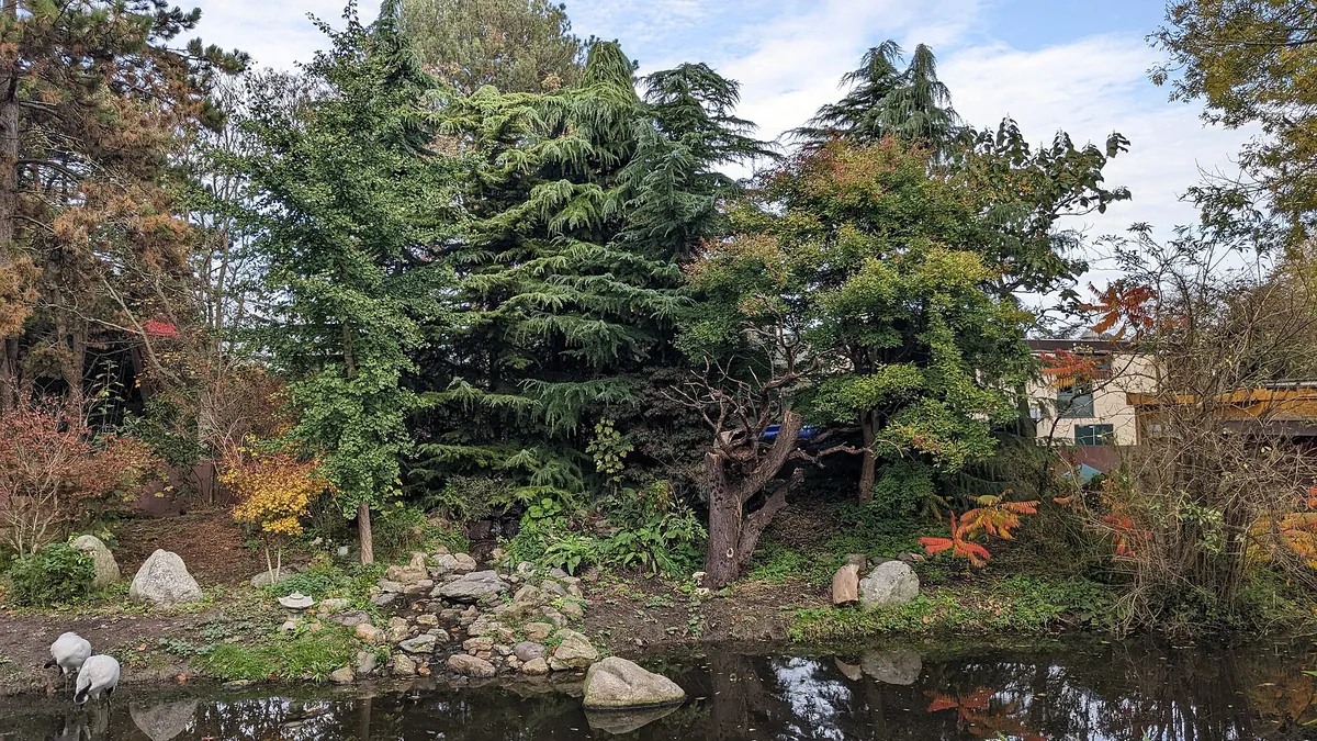 Vogelpark Avifauna