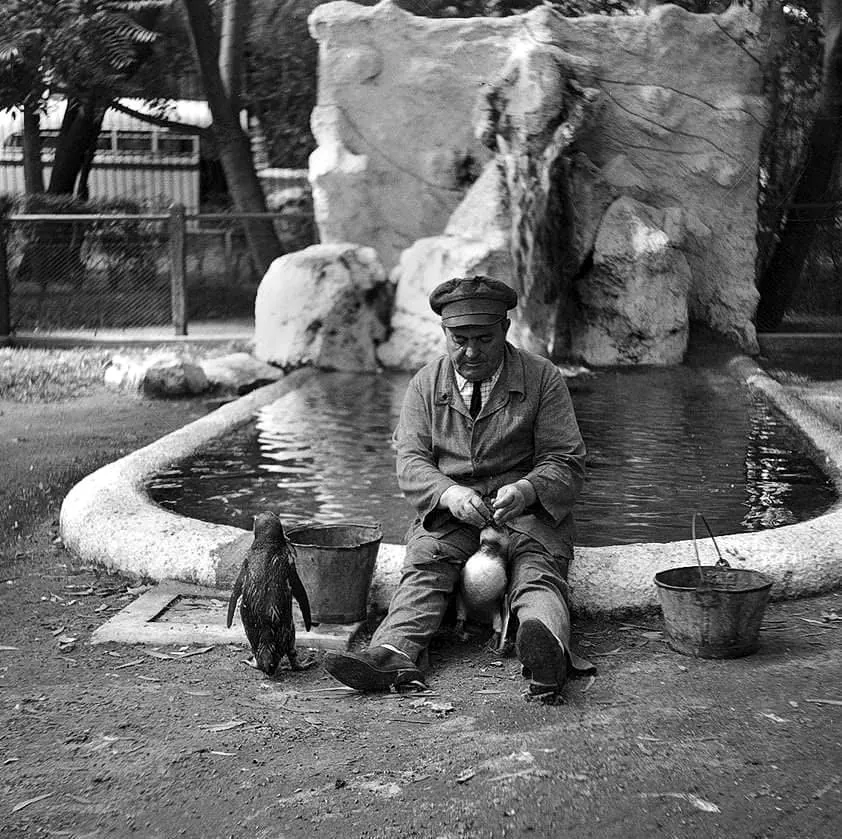 Ecoparque Buenos Aires
