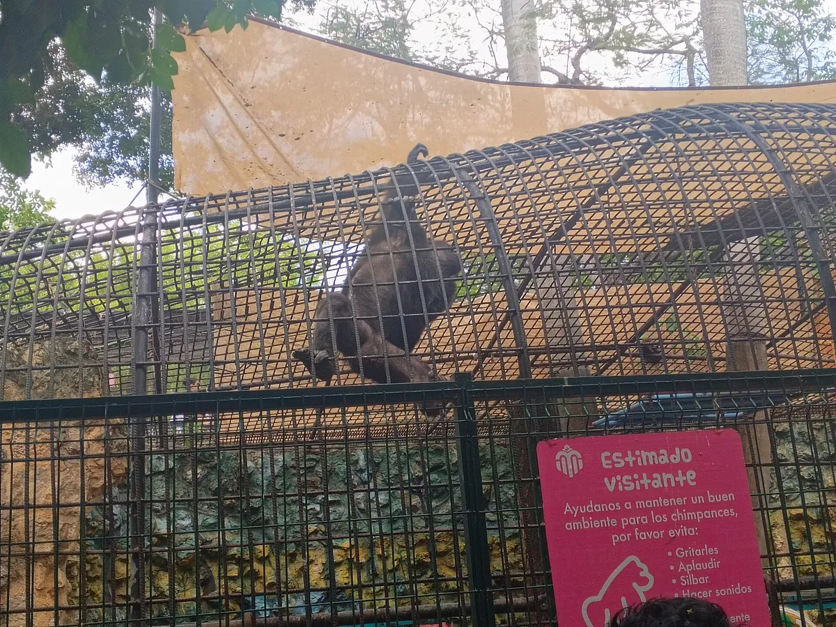 Parque del Centenario