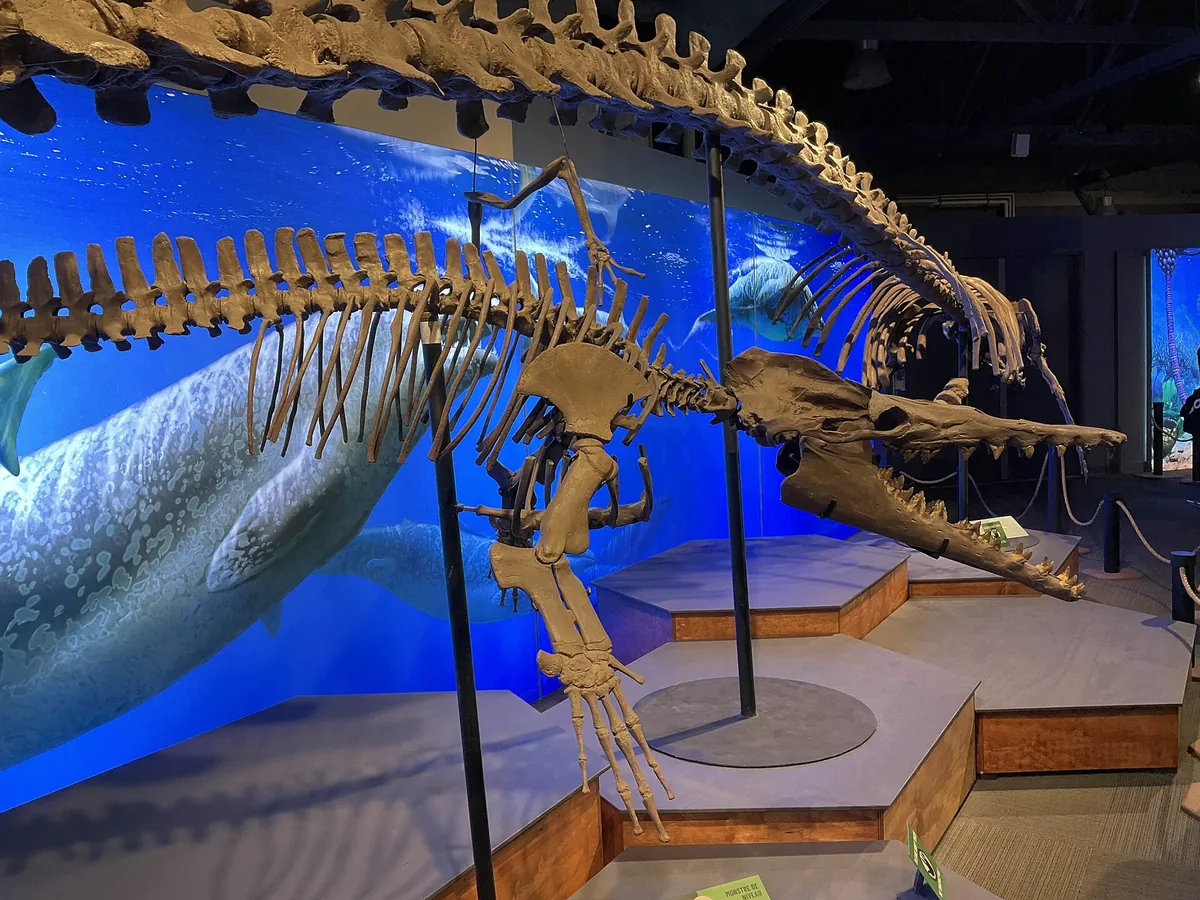 Vancouver Aquarium