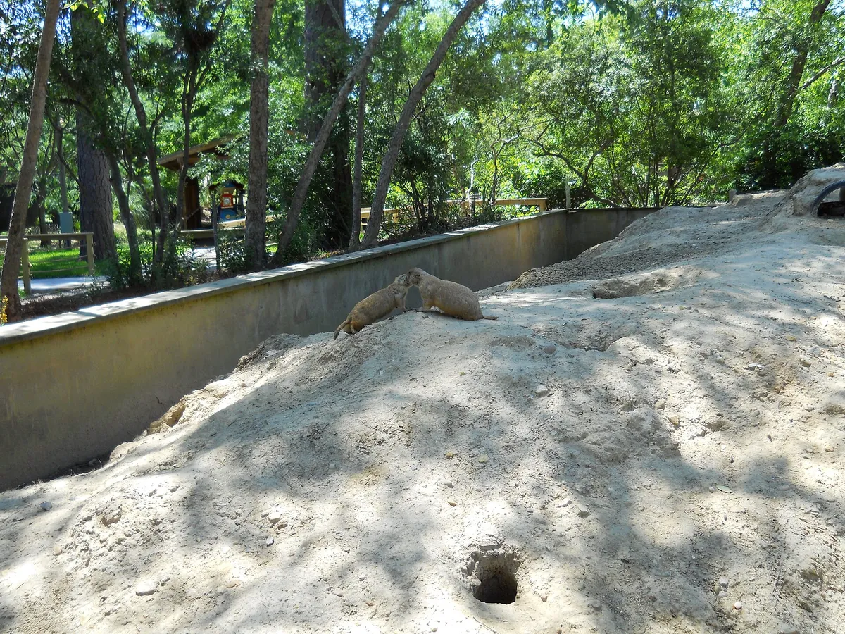 Hattiesburg Zoo