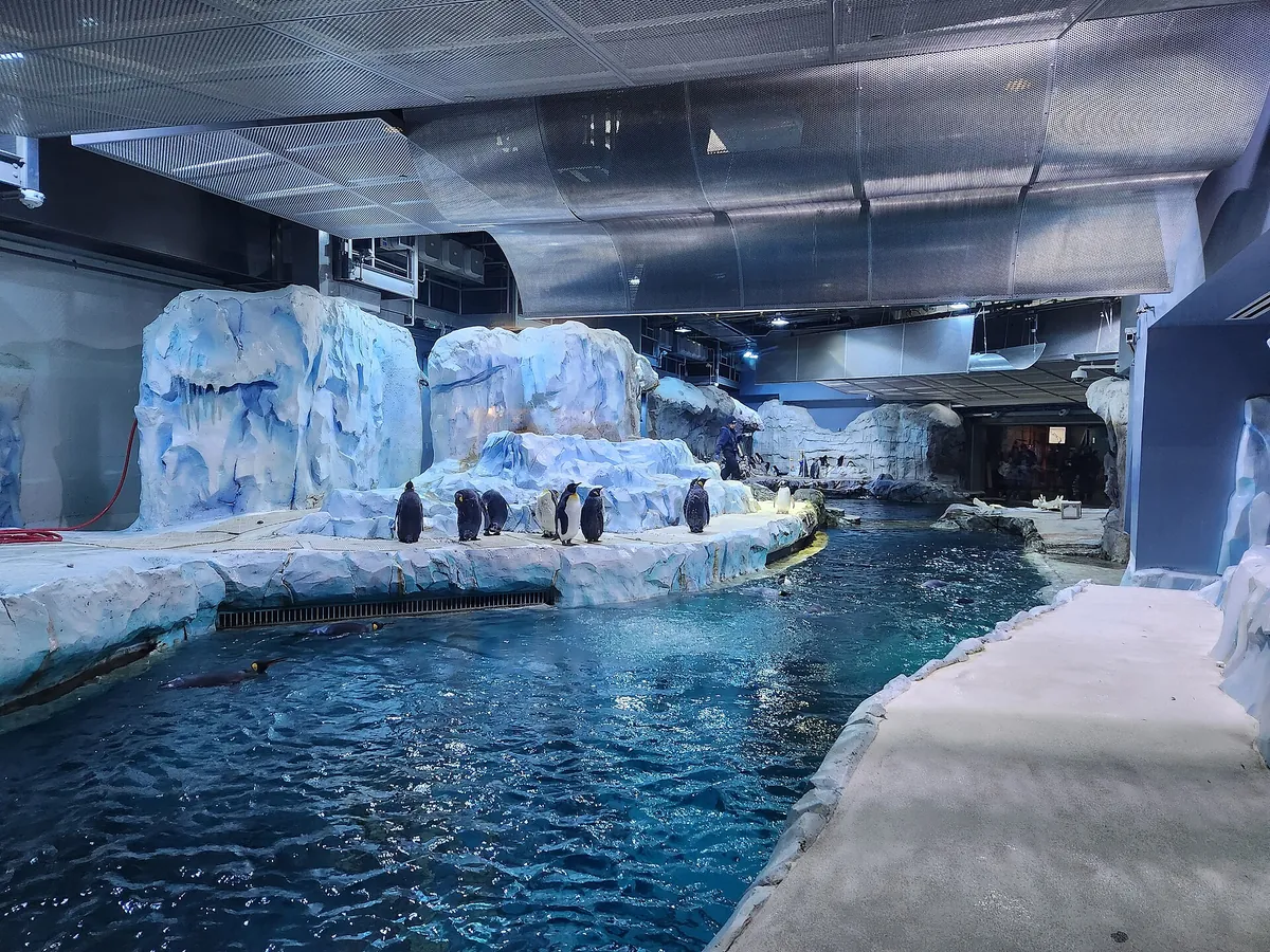 Detroit Zoo