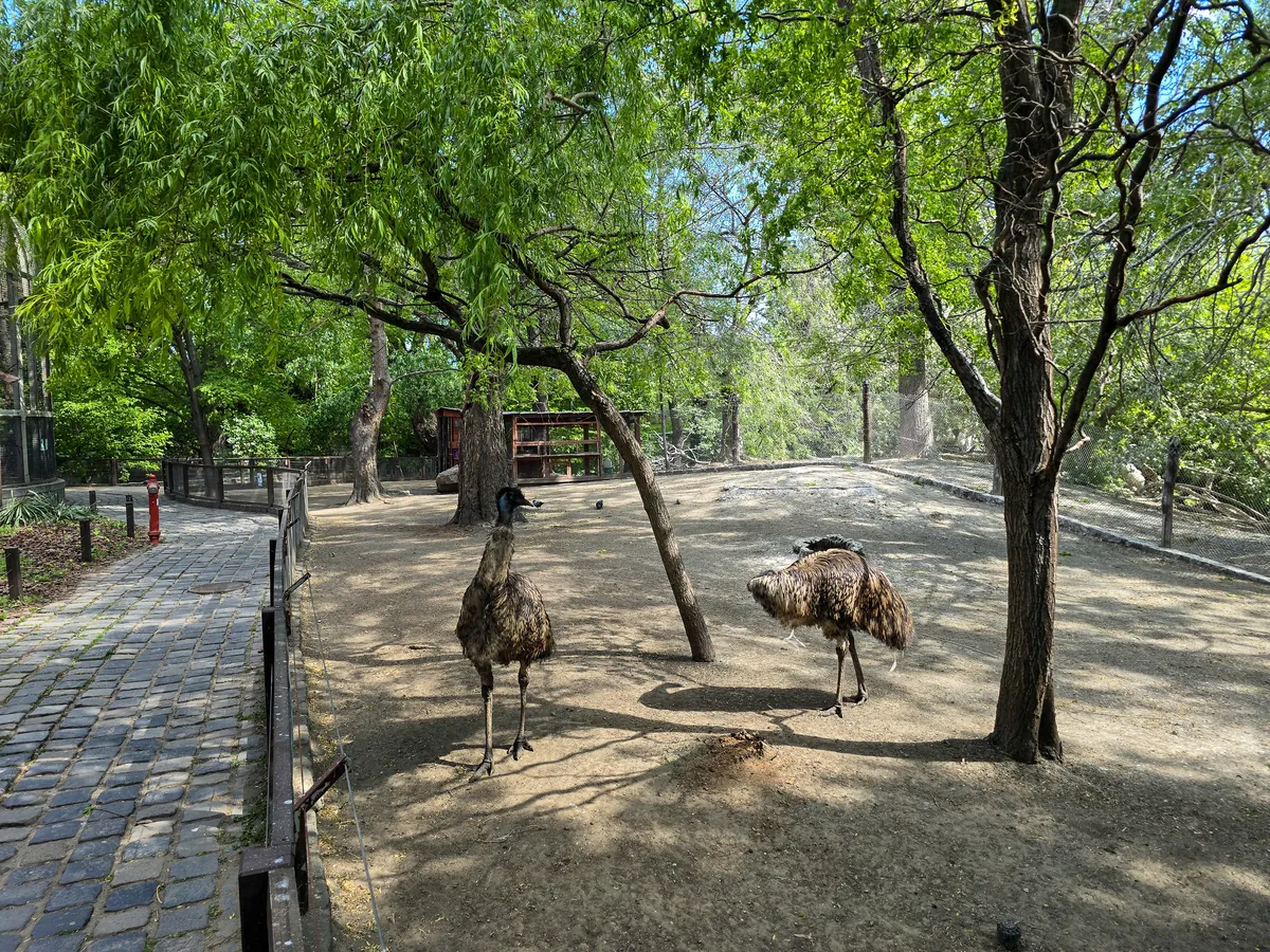 Budapest Zoo and Botanical Garden