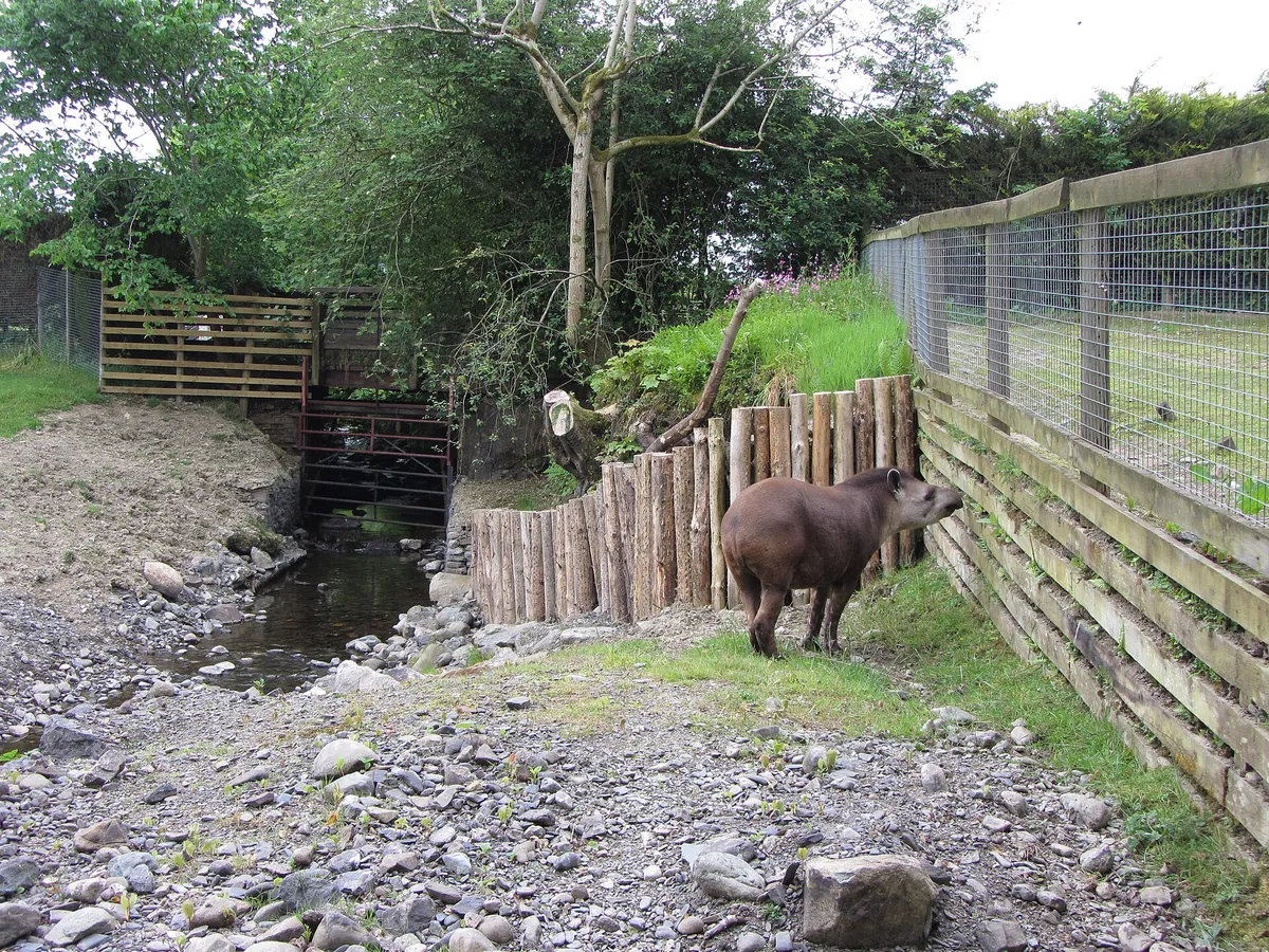 Lake District Wildlife Park
