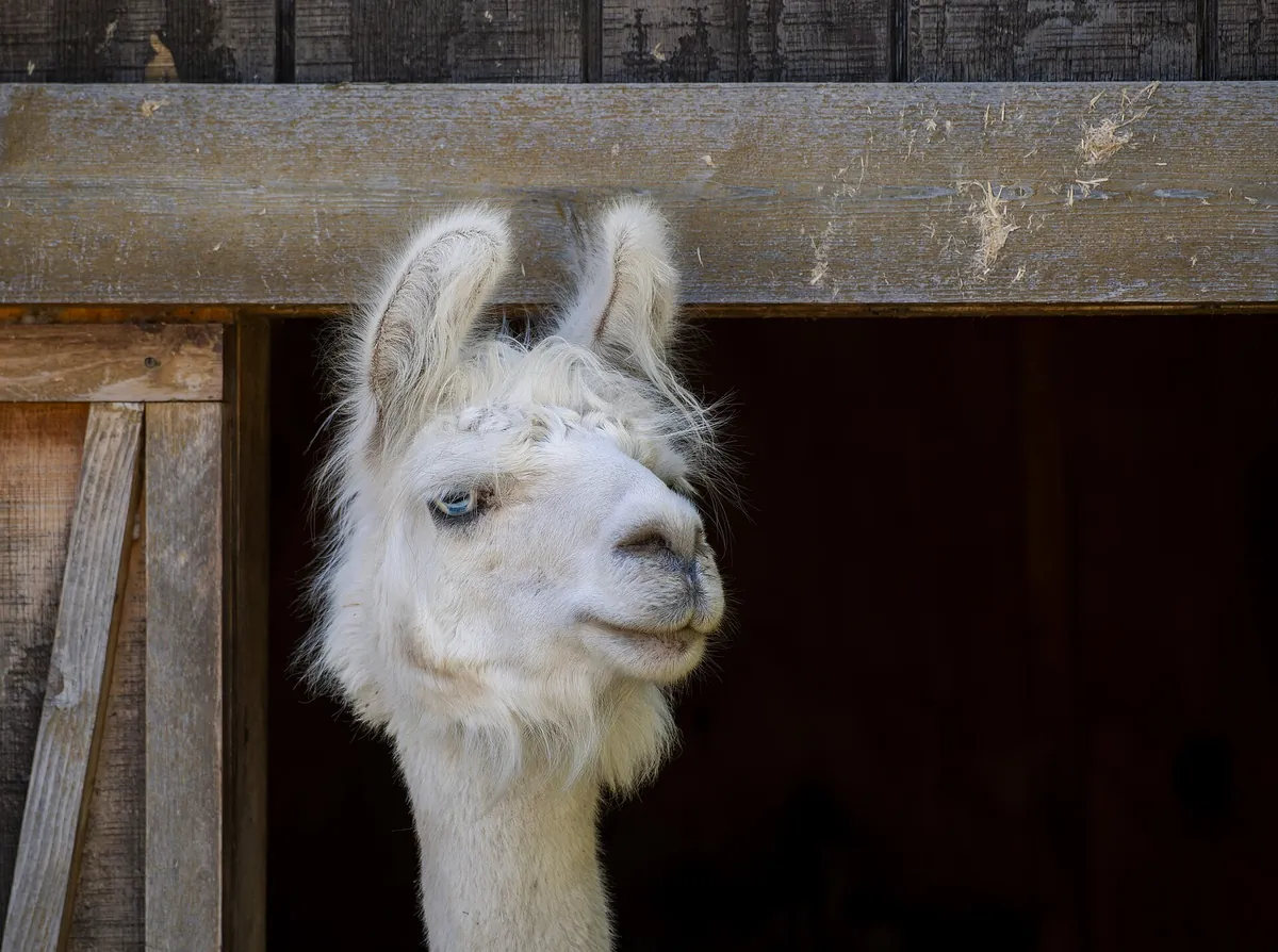 Menominee Park Zoo