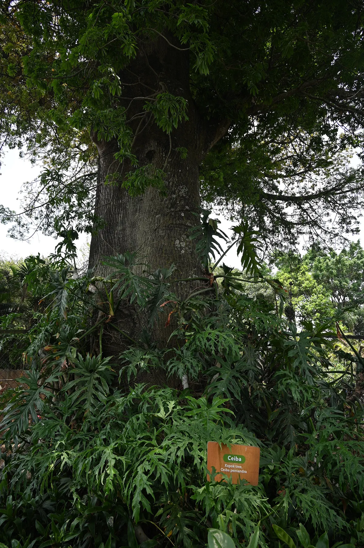 Parque Zoológico Nacional La Aurora