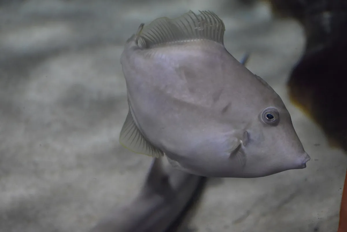 Greater Cleveland Aquarium