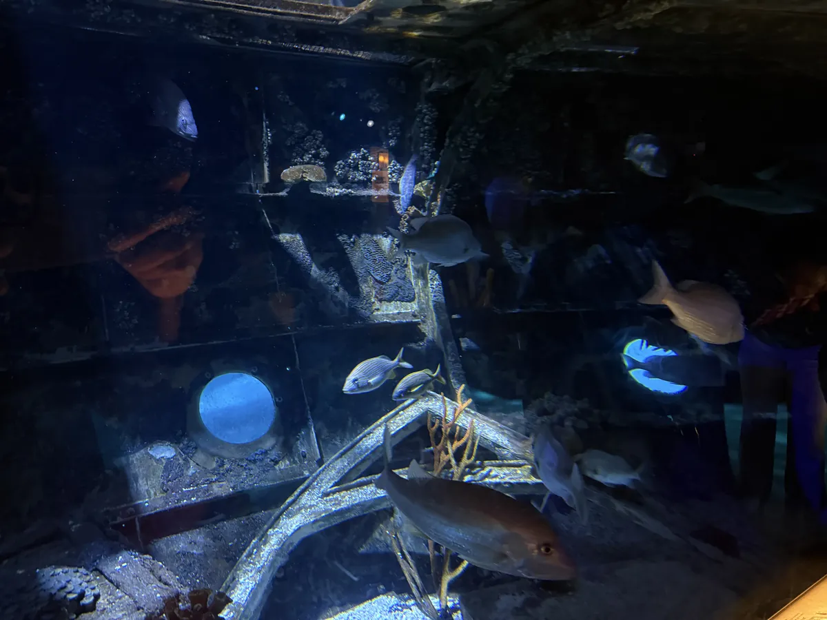 Adventure Aquarium
