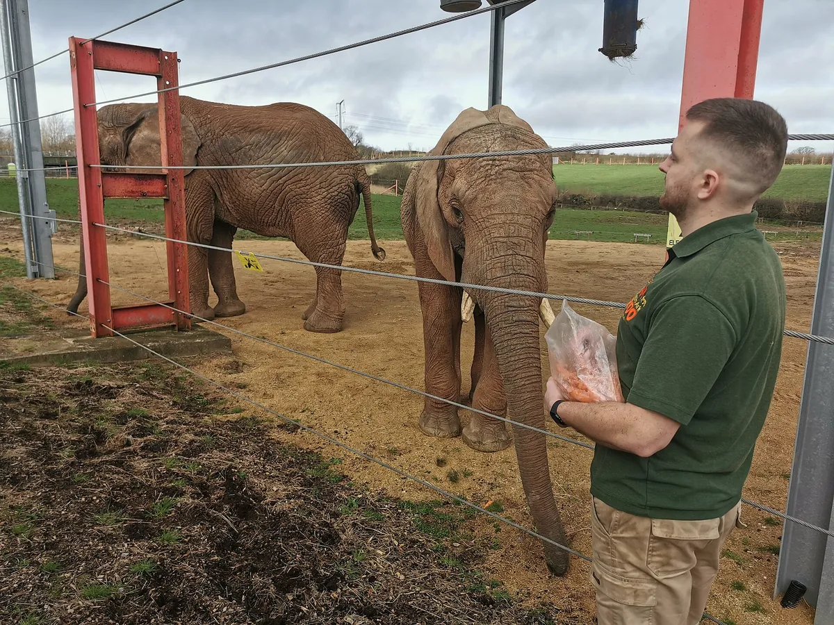Noah's Ark Zoo Farm