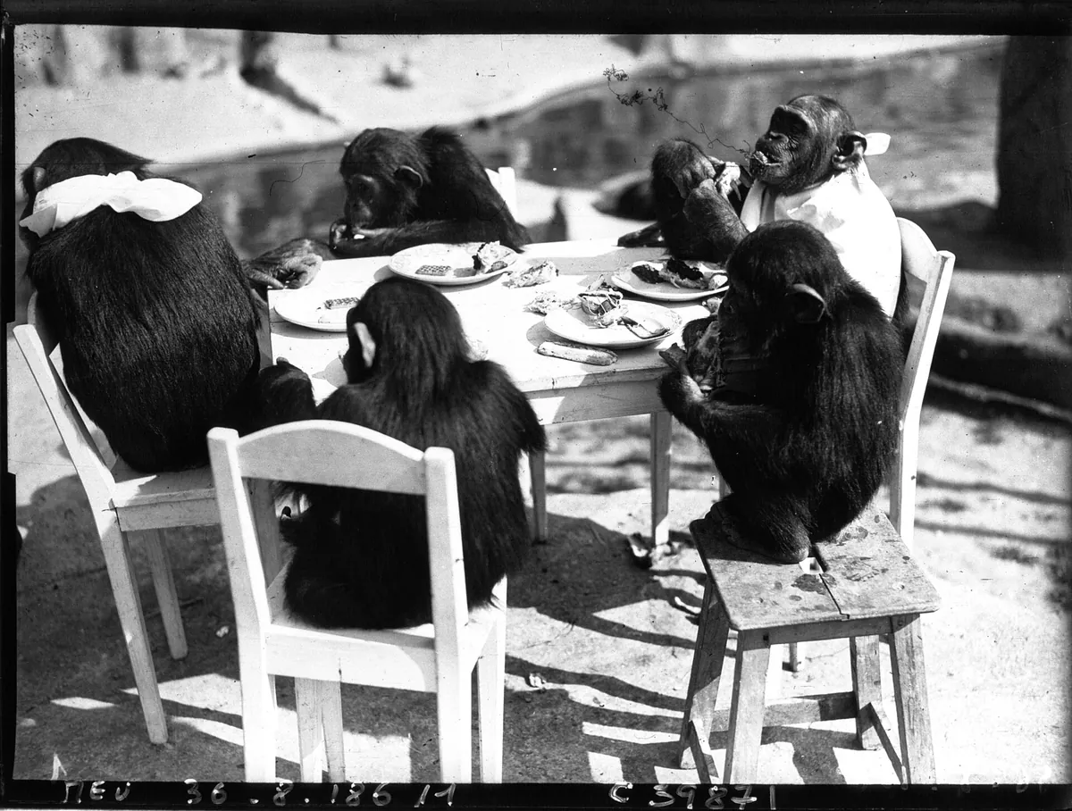 Paris Zoological Park