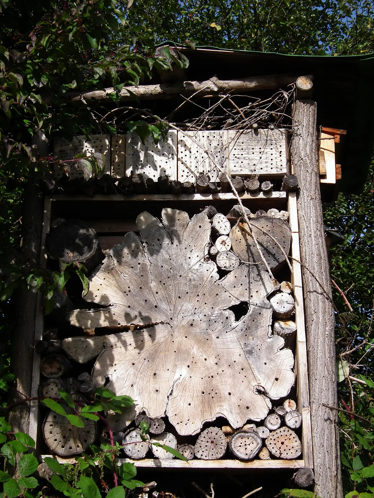 Leintalzoo Schwaigern